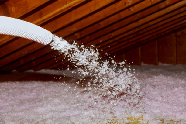Best Energy Efficiency Insulation in Sunrise, FL