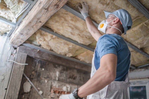 Best Specialized Insulation Services in Sunrise, FL