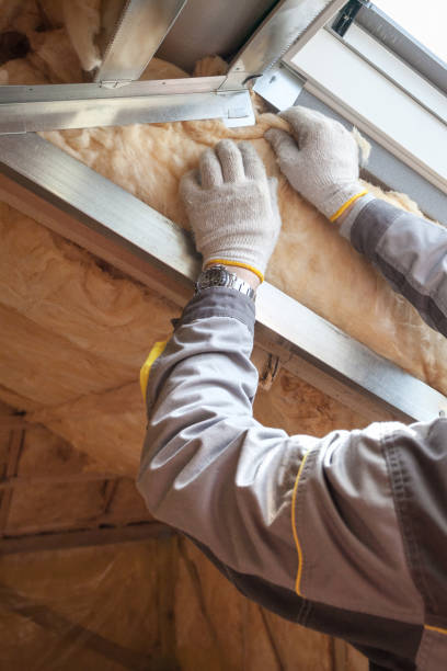Best Eco-Friendly Insulation in Sunrise, FL