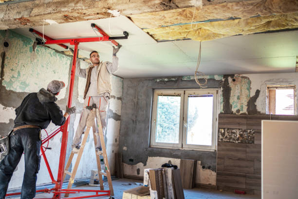 Best Cellulose Insulation in Sunrise, FL