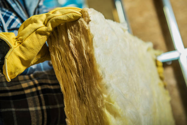 Best Blown-in Insulation in Sunrise, FL