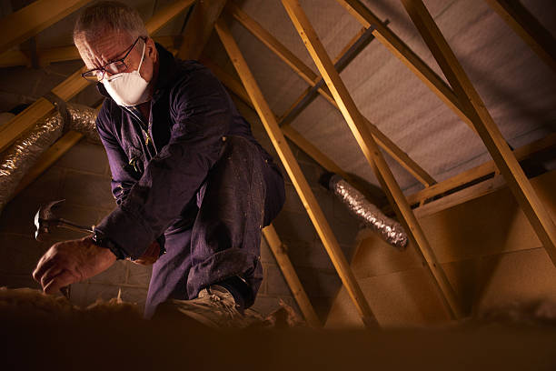 Best Spray Foam Insulation in Sunrise, FL